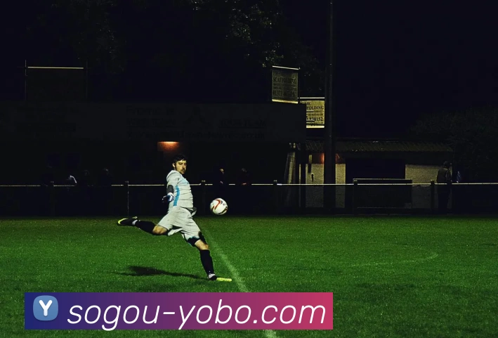 友博体育平台生态图